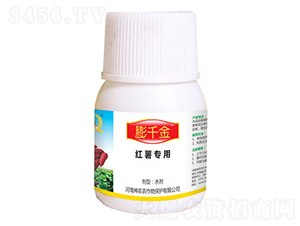 ��ǧ�𣨼t�팣�ã�-�������r(n��ng)