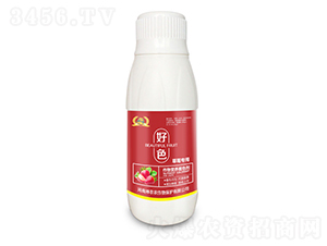 ��ݮ�����~���-��ɫ-�������r(n��ng)