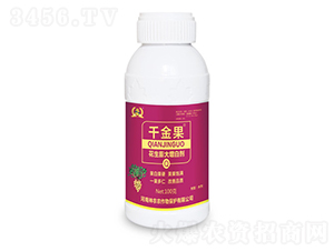 ����������ׄ�-ǧ���-�������r(n��ng)