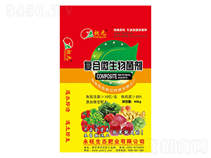 ��(f��)��΢�������-��Ԫ-�������B(t��i)