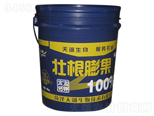 �Ѹ������-���