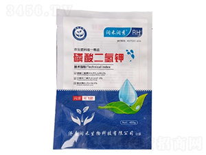 ��������-���̝���