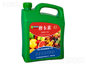 �g�����@�־����AҺ-Ħ����-��(qi��ng)о