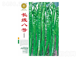 �L����̖-�����N��-�A��N�I(y��)