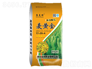 ���S��17-20-4-������-���׷ʘI(y��)