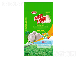 �������-ʩ����