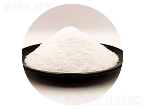 ����һ�@-�����_(d��)