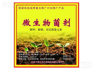 ΢�������-��ɏ���