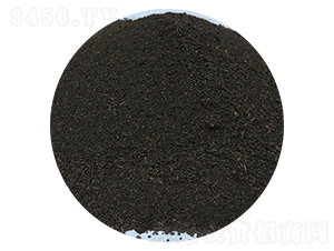 �����ЙC(j��)�ʷۄ�-��ɏ���