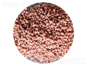 ���򵪷�-���r�r�I(y��)