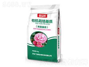 �ЙC(j��)������|(zh��)��������|(zh��)��-�����-�w������