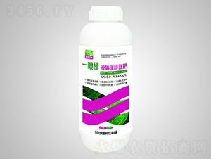 Һ�w��ጵ���420-0-0-һ���G-�f����