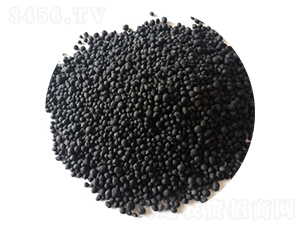 �w�����(f��)���-�|�r(n��ng)��