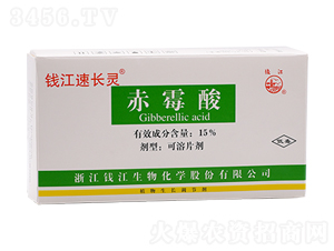 15%��ù�����Ƭ��-�X�����L(zh��ng)�`-�X������