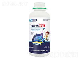 ��������~����-�Z���~��-�Z���S