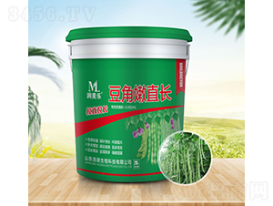 ������ֱ�L-������-�������