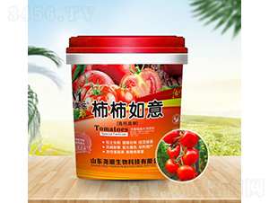 ���}��⛺���ֲ��ˮ�ܷ���-��������-�������