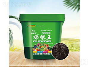 ����ֲ��ˮ�ܷ���-������-�������