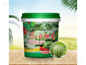 ��Ŀ�࿴-�������