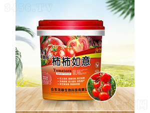 ��������-�������