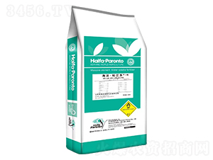 ���������m��1̖19-19-19+2MgO+TE-�����ʘI(y��)