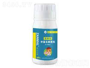 ����Ԫ��-���w��300g-ٝ��