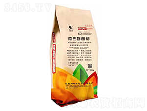 ΢�������-˹�՘�