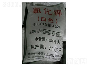 �Ȼ�⛼��ô��ɫ�w��-�ѷ�Ԫ