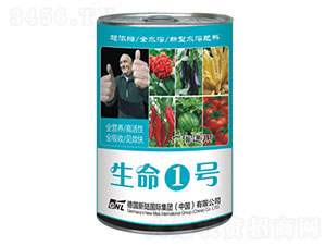 ����1̖-�»����