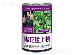 �޻�������-�»����