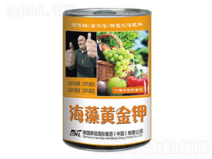 �����S���-�»����