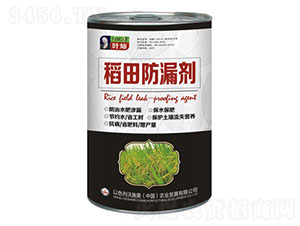 �����©��-�»����