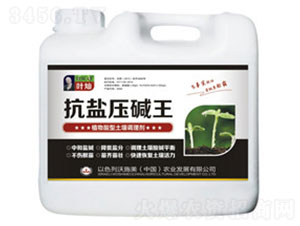 ���}���A��-�»����