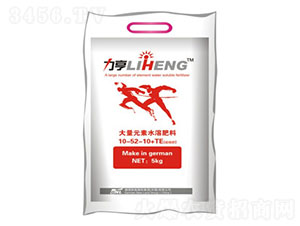 �����������׷�10-52-10+TE-�»����