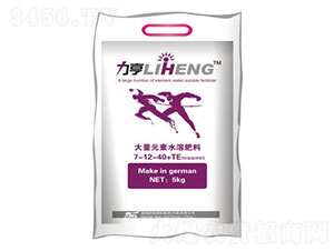 �}�V���7-12-40+TE����ɫ�ٹ��죩-�»����