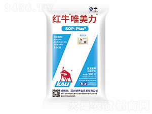 �tţΨ����-���·���