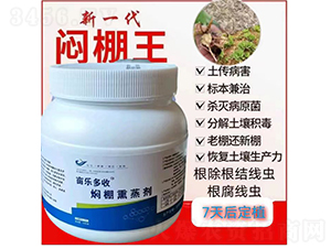 �F��Ѭ��-��������-�����