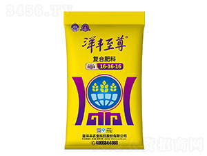 ��(f��)�Ϸ���16-16-16-�����S