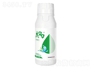 �LЧ����-��Ч�S-�I(l��ng)������