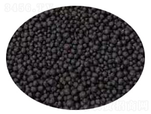 ���{��������-�l(f��)ؔ��