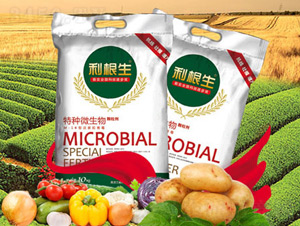 ������-�ش���