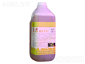 2000ml�󶹸�������Һ�w-�A��(chu��ng)���r(n��ng)