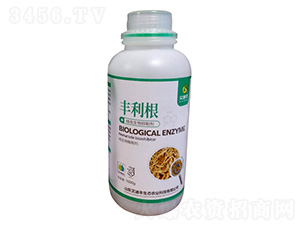 ���x�������Ƅ�-�S����-�����S