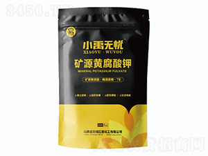 �VԴ�S�����-С��o�n-С��