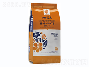 �ͺϷ���18-6-18+TE-С������-С��