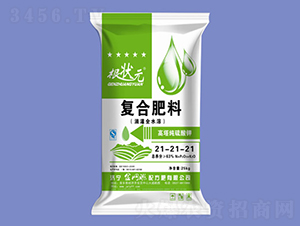 ����������ͺϷ���21-21-21-����Ԫ-������