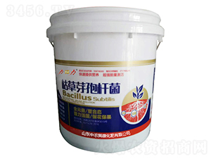 �ݲ�ѿ�ߗU��-������-���r����