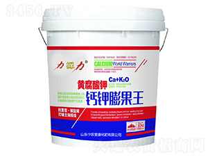 �S������}������-������-���r����