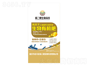 �����ЙC��-�}����-���ɩ����