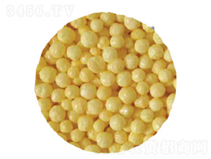 �ۺ������������-�r�����B(t��i)